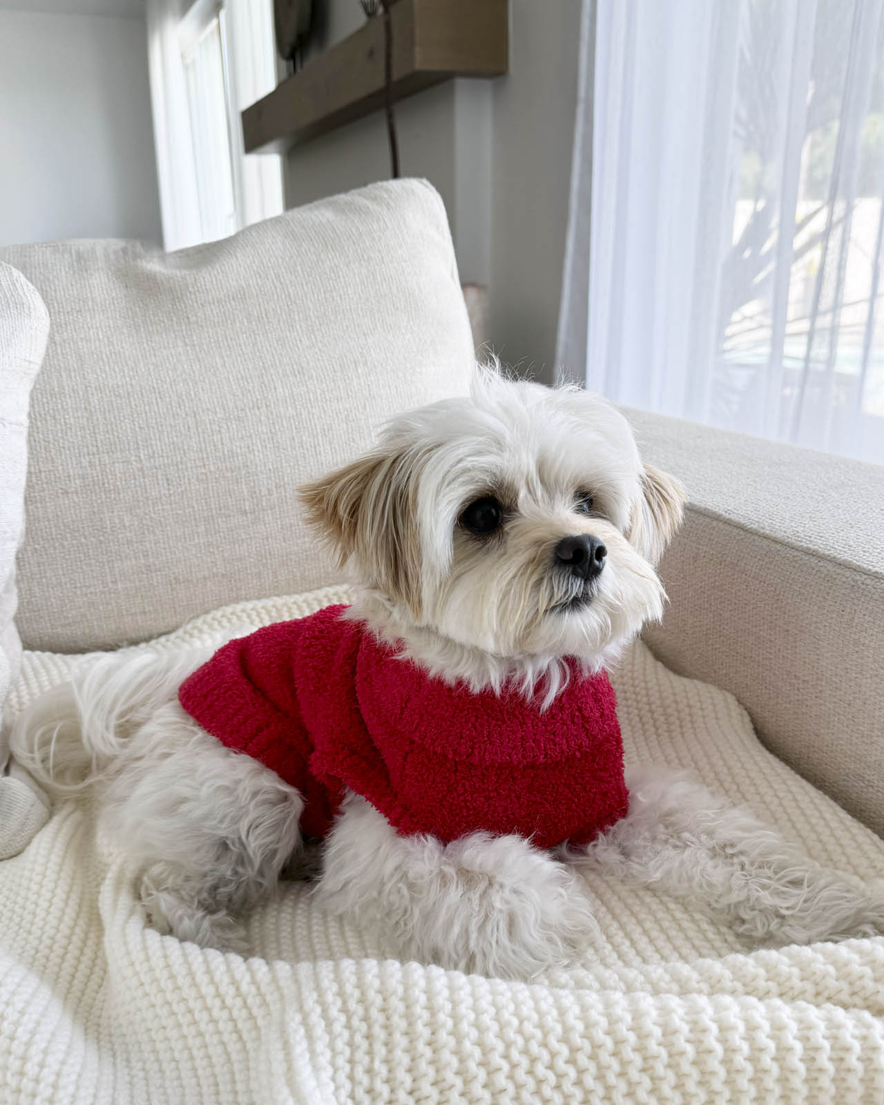 No image description